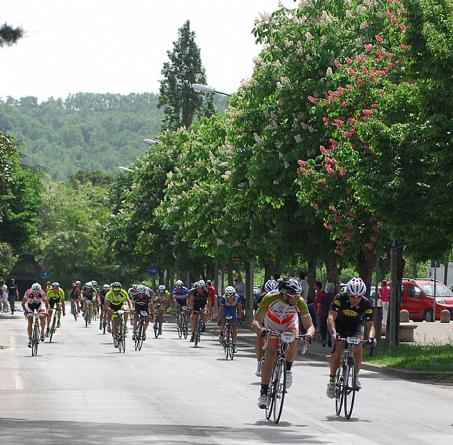 ciclisti-in-viale-alberato_t